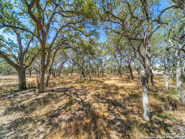 680 Annabelle Avenue Bulverde TX 78163