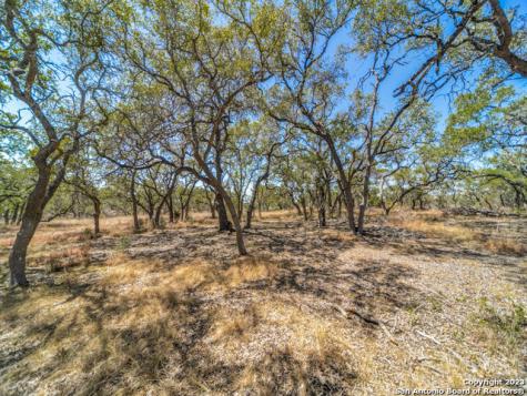 680 Annabelle Avenue Bulverde TX 78163
