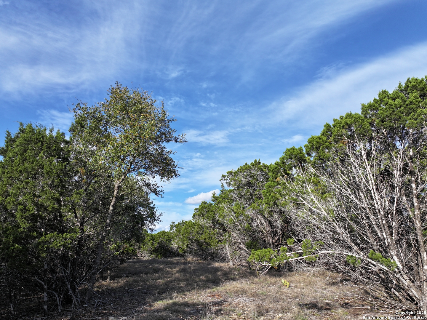 PARCEL19 La Vista Court Pipe Creek TX 78063