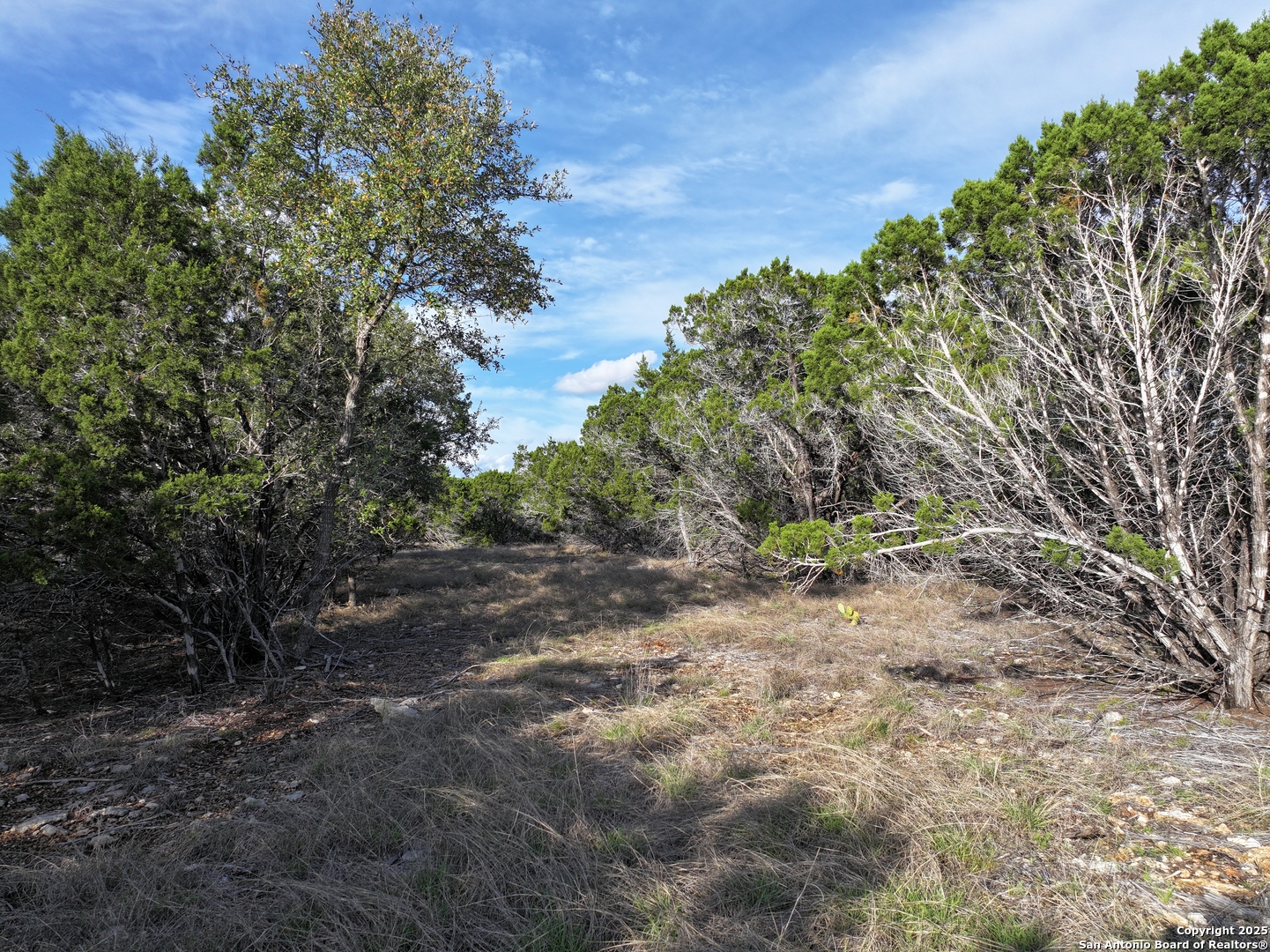 PARCEL19 La Vista Court Pipe Creek TX 78063