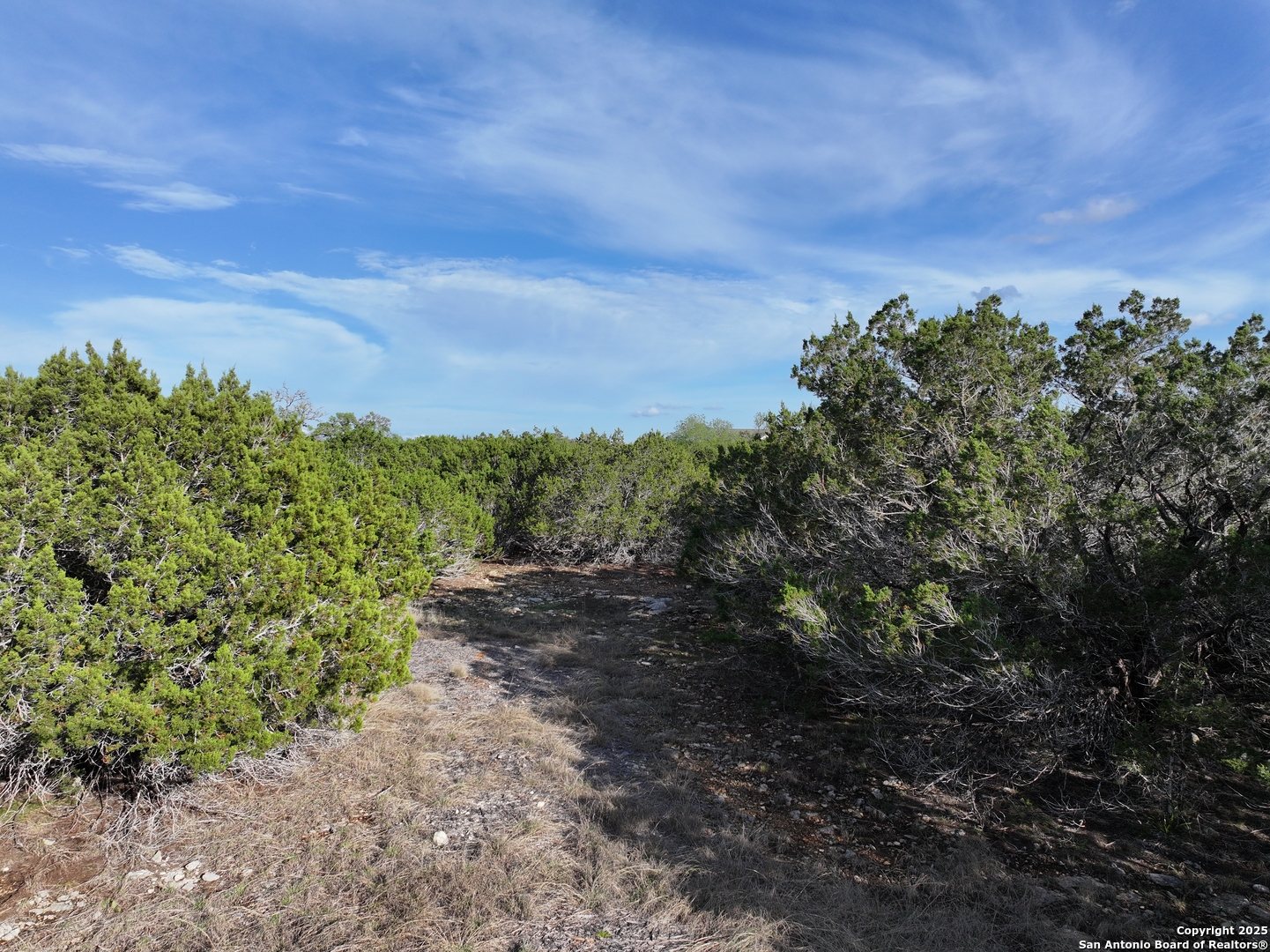 PARCEL19 La Vista Court Pipe Creek TX 78063