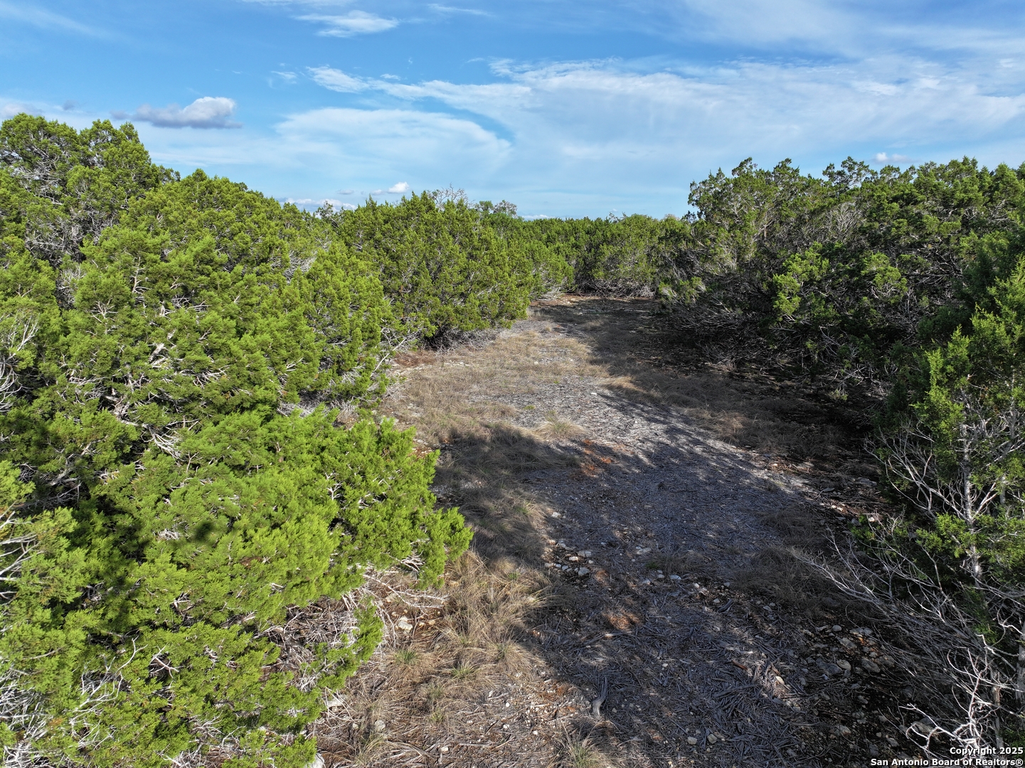 PARCEL19 La Vista Court Pipe Creek TX 78063