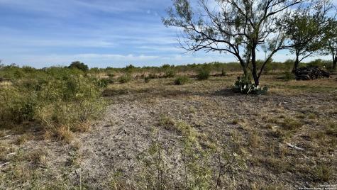 295 Lobo Hondo TX 78861