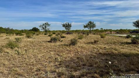 295 Lobo Hondo TX 78861