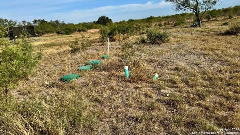 295 Lobo Hondo TX 78861