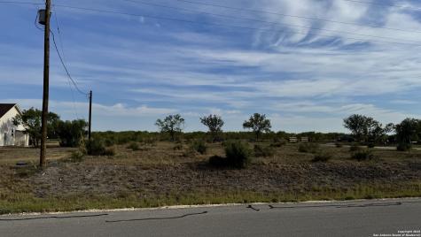 295 Lobo Hondo TX 78861