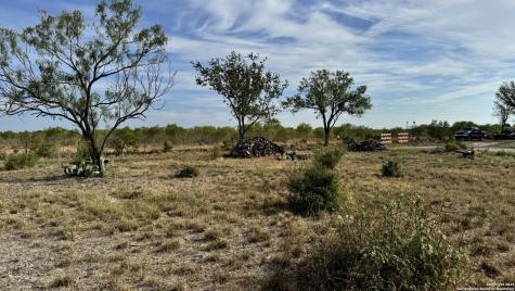 295 Lobo Hondo TX 78861