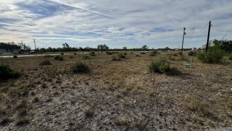295 Lobo Hondo TX 78861
