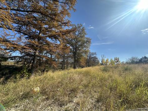 15902 N Highway 16 Medina TX 78055