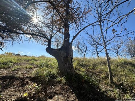 15902 N Highway 16 Medina TX 78055
