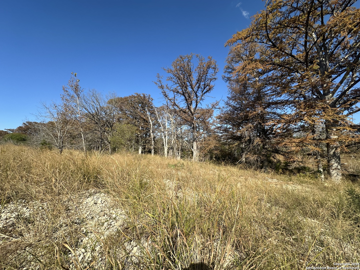15902 N Highway 16 Medina TX 78055