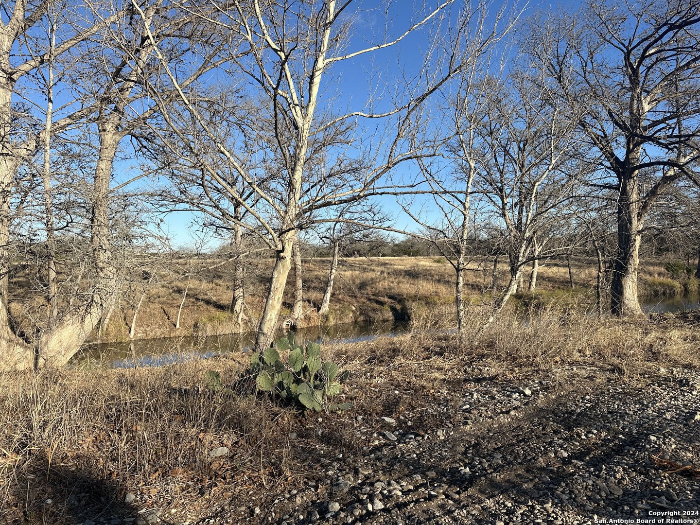 15902 N Highway 16 Medina TX 78055