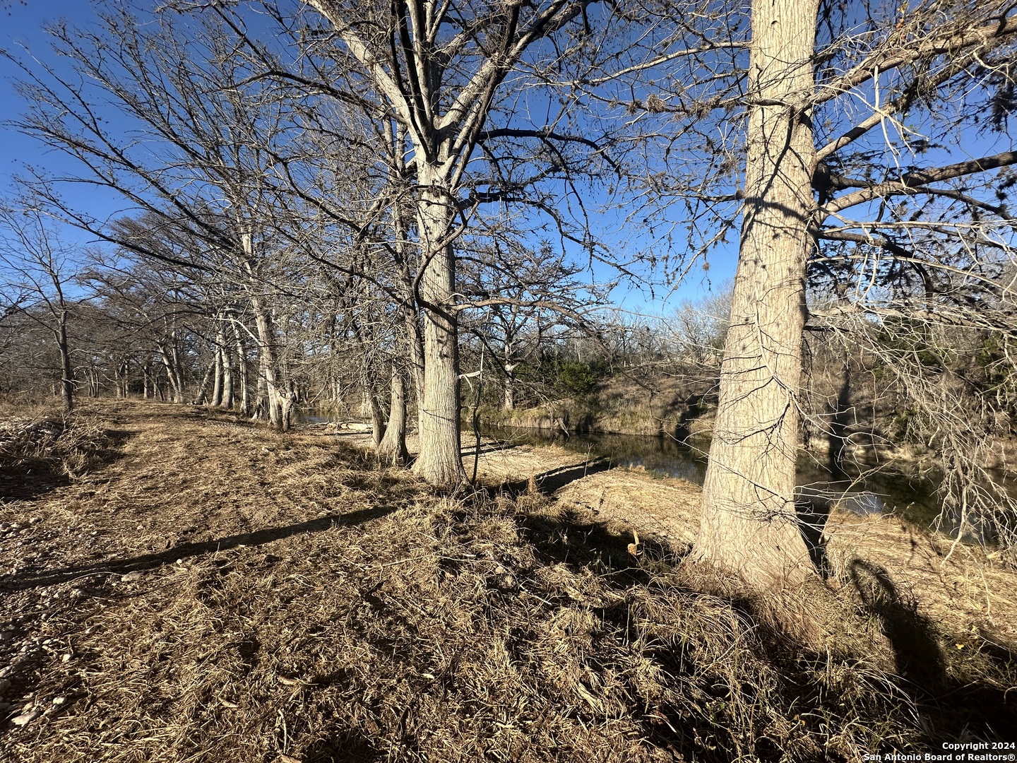 15902 N Highway 16 Medina TX 78055