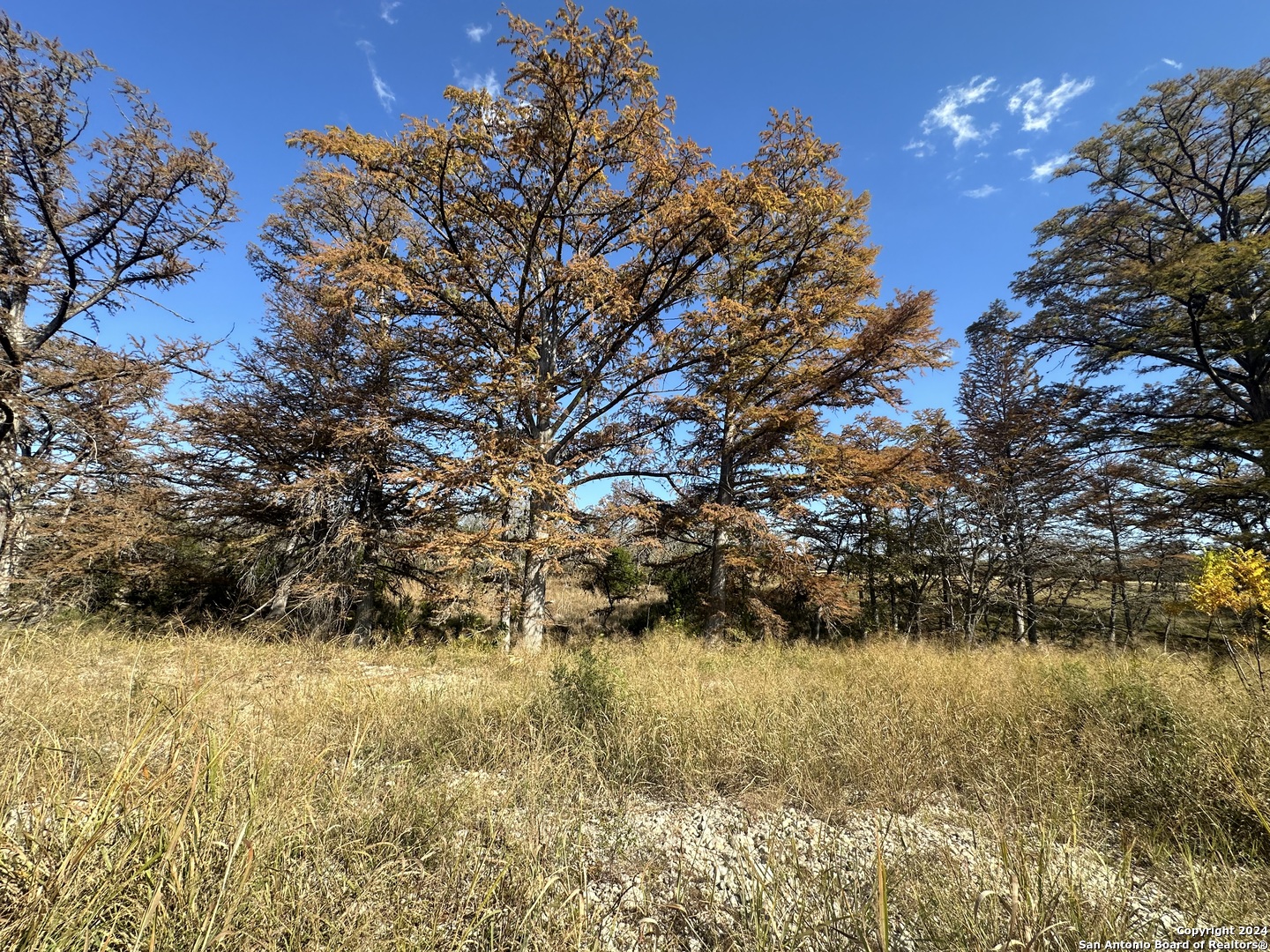 15902 N Highway 16 Medina TX 78055