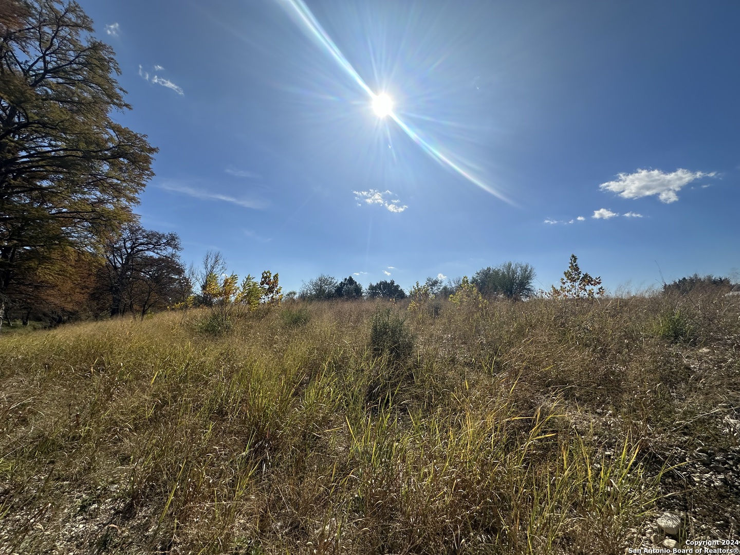 15902 N Highway 16 Medina TX 78055
