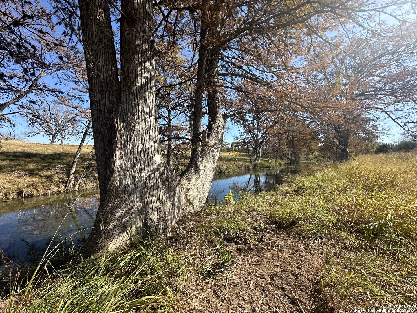 15902 N Highway 16 Medina TX 78055
