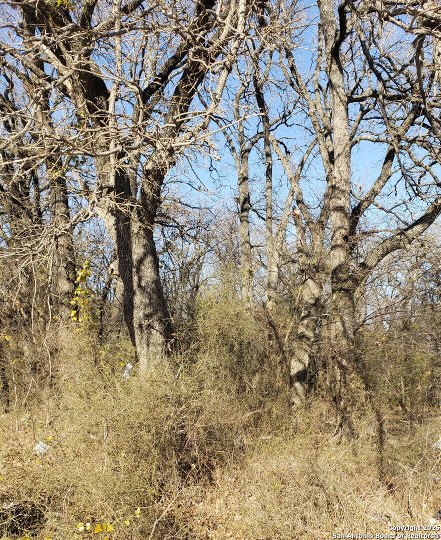 11929 Brookvalley Balch Springs TX 75180