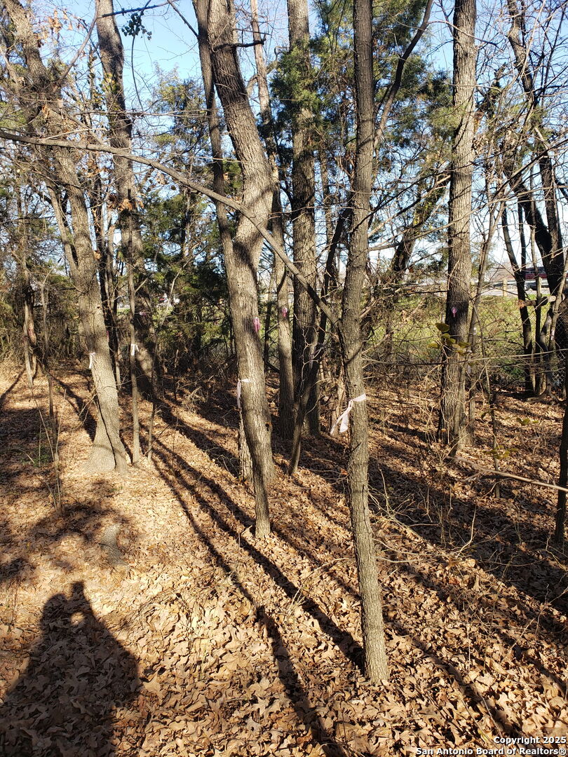 11929 Brookvalley Balch Springs TX 75180