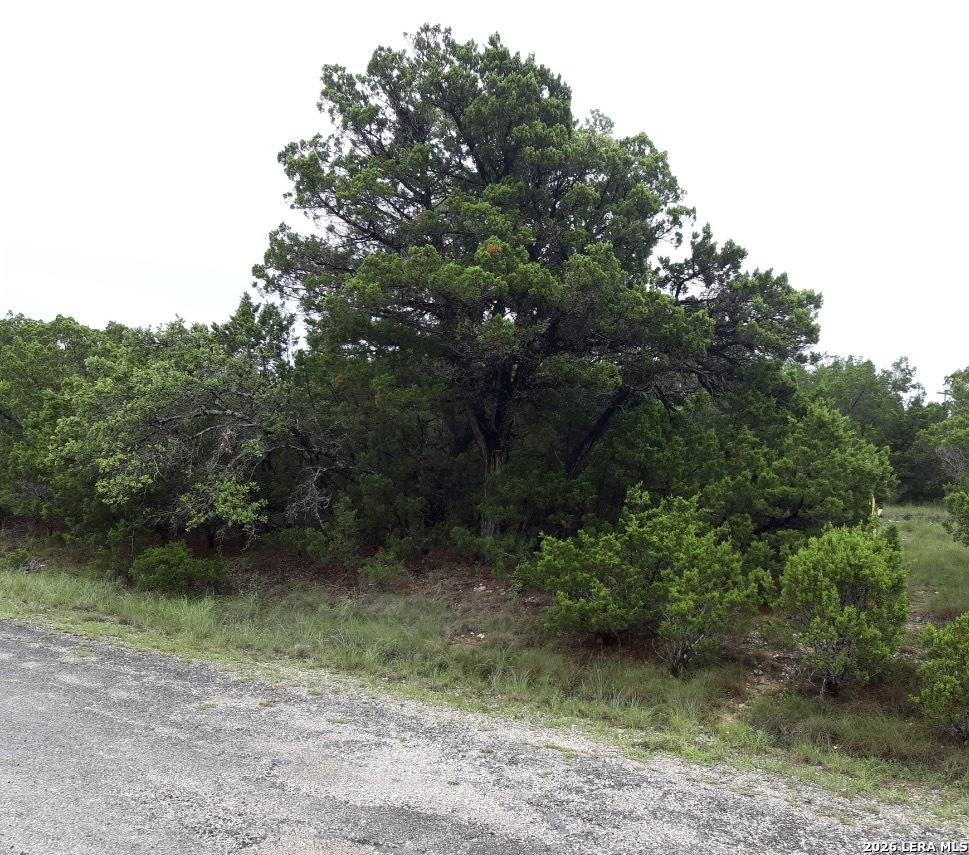 6705 Redwood Drive Lago Vista TX 78645