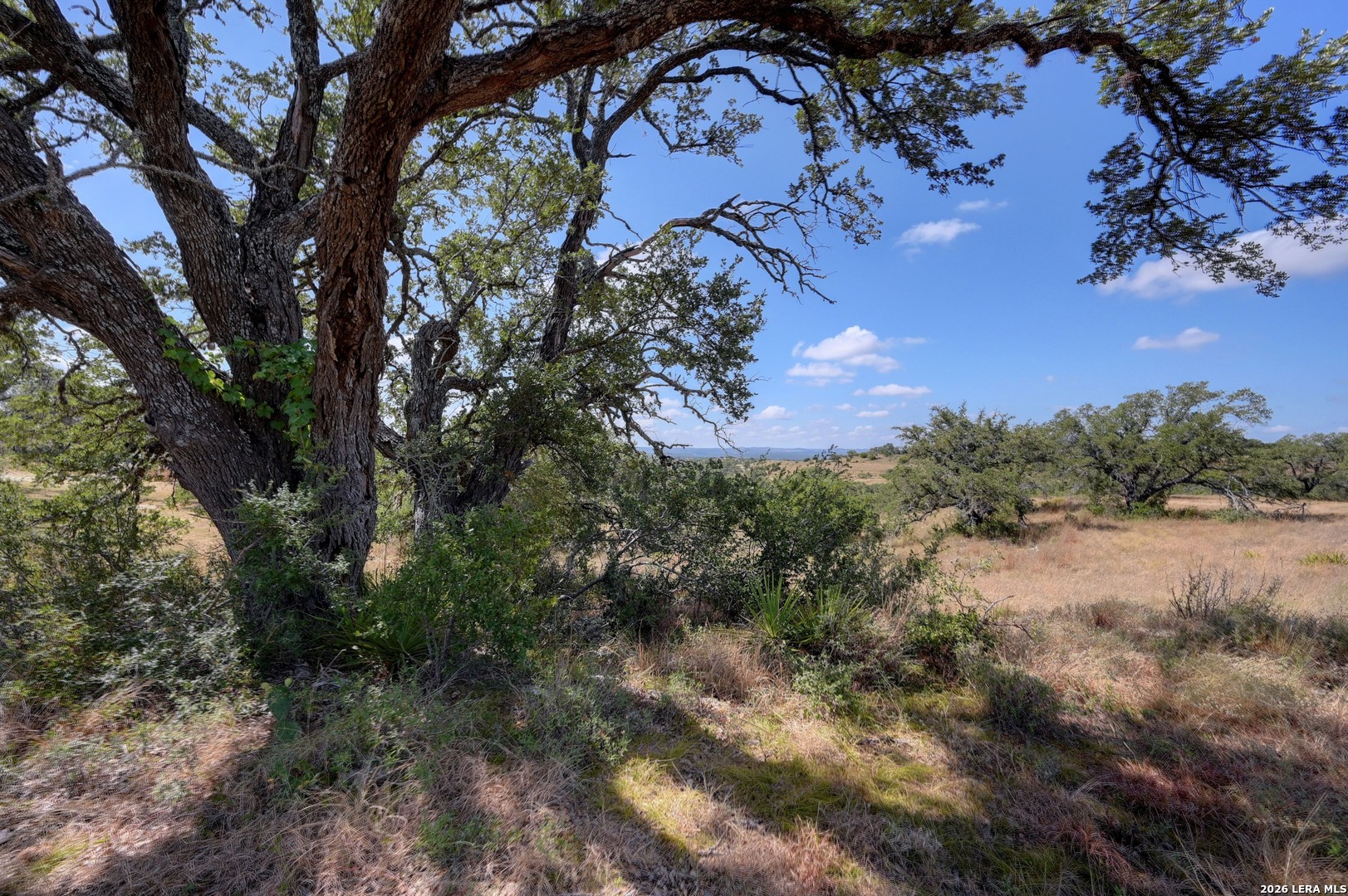 312 Summit Ledge Drive Johnson City TX 78636