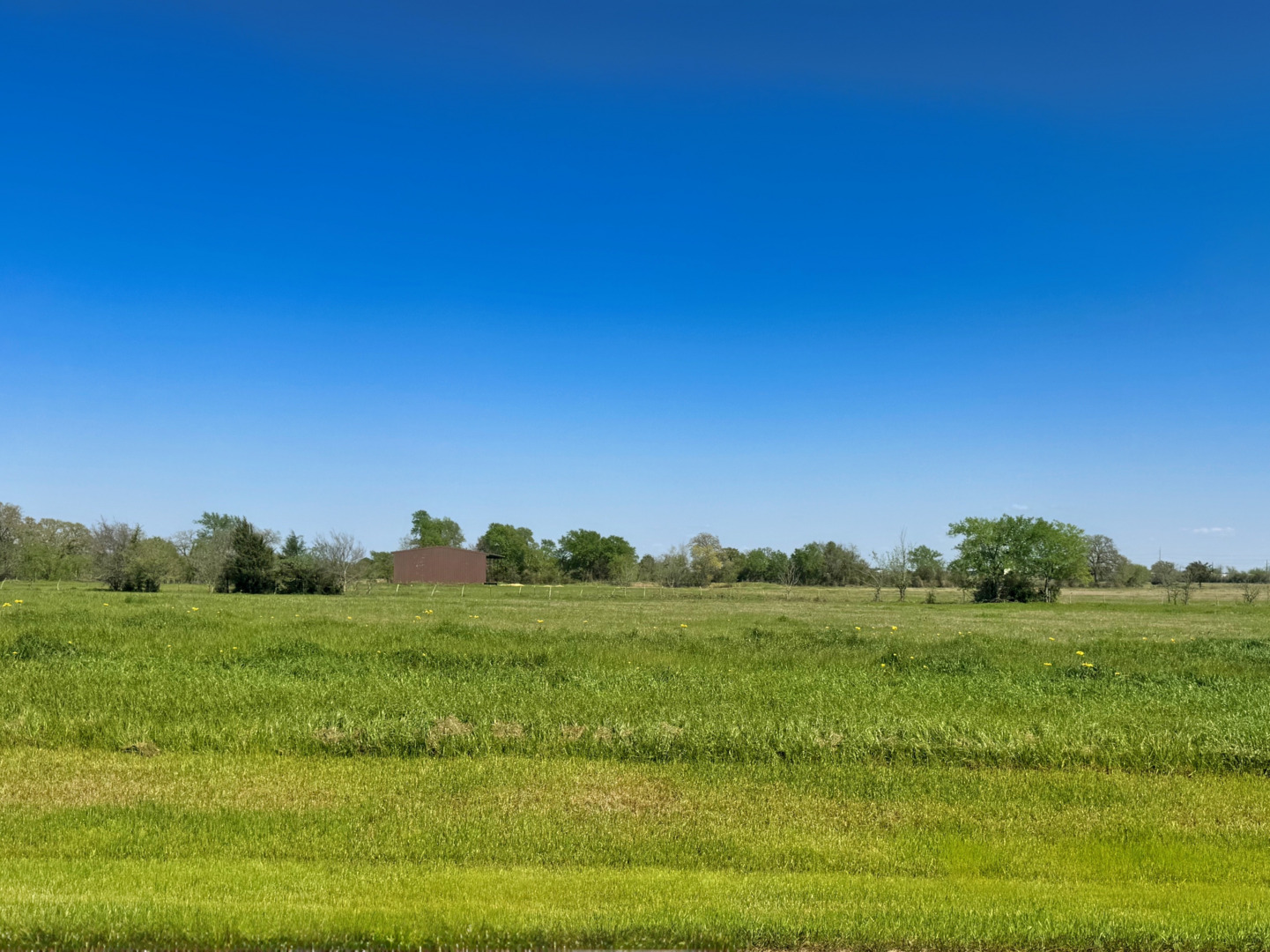 10016 Panther Creek Drive Iola TX 77861