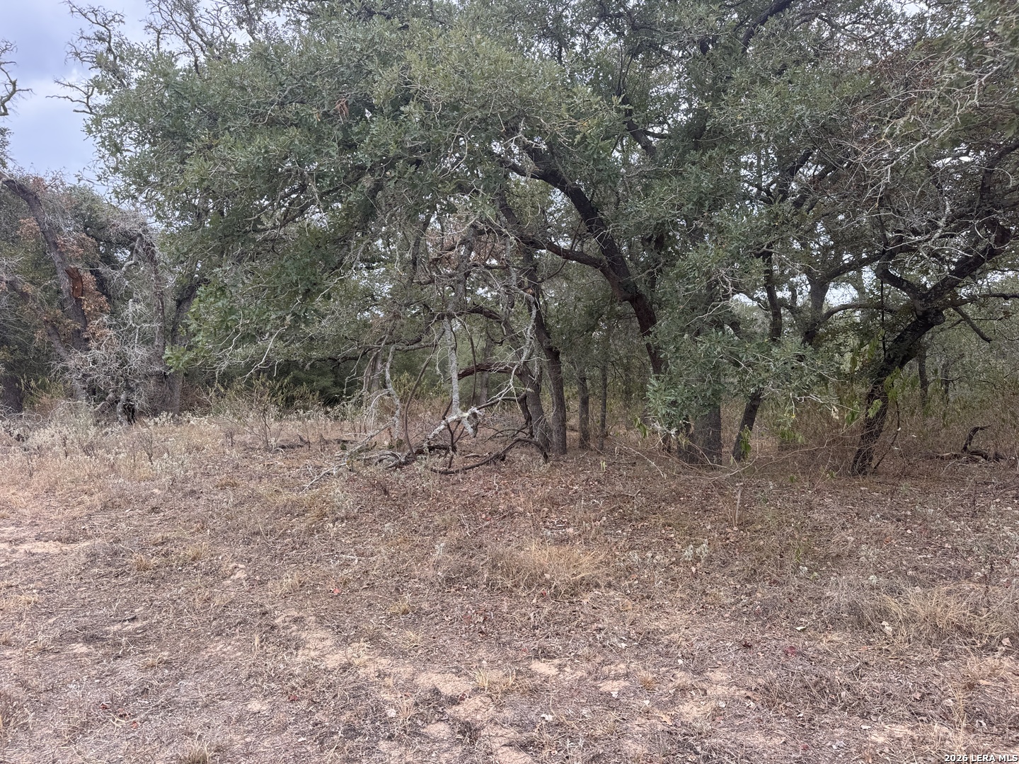 133 White Horse Lane Stockdale TX 78160