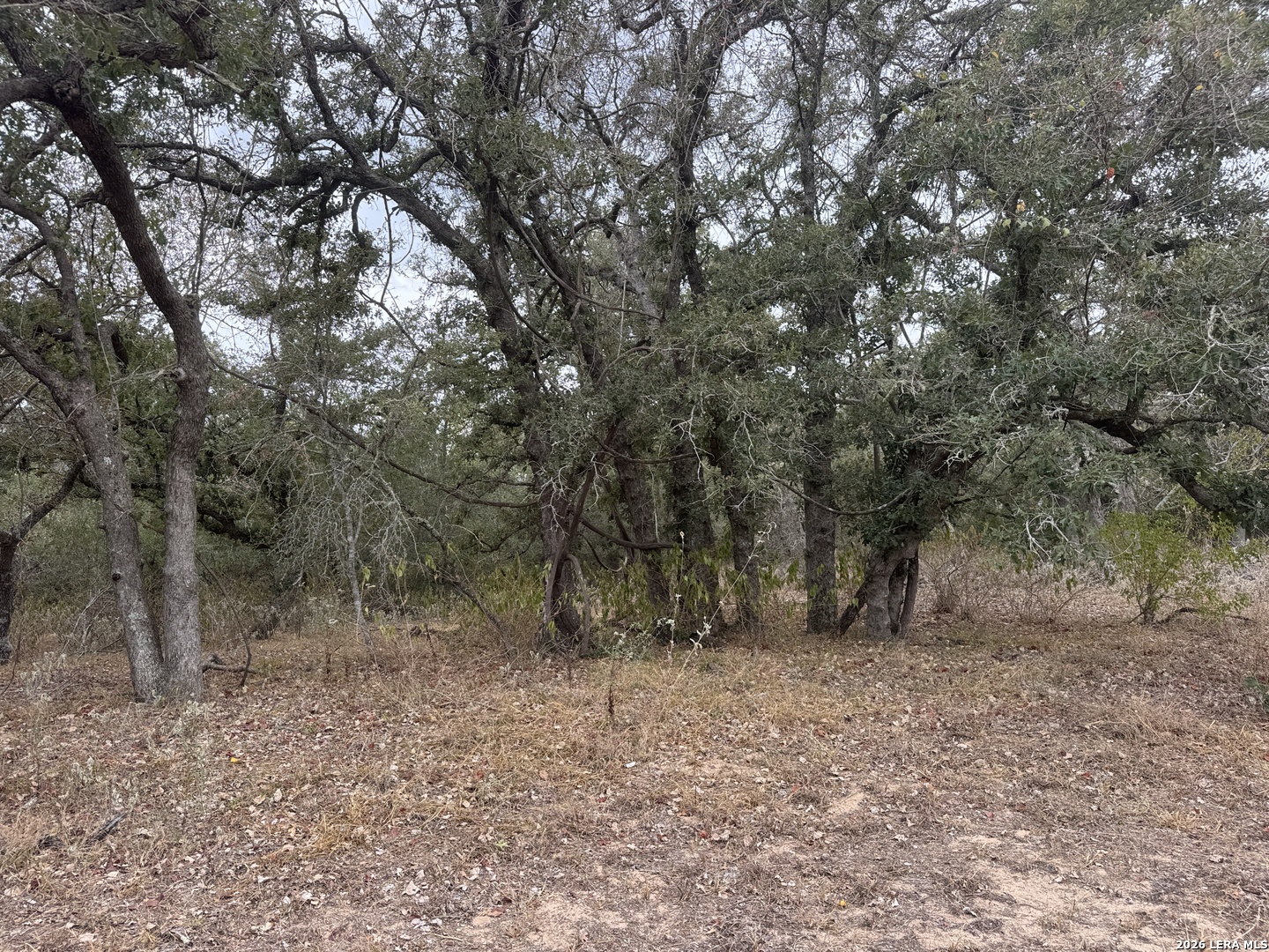133 White Horse Lane Stockdale TX 78160