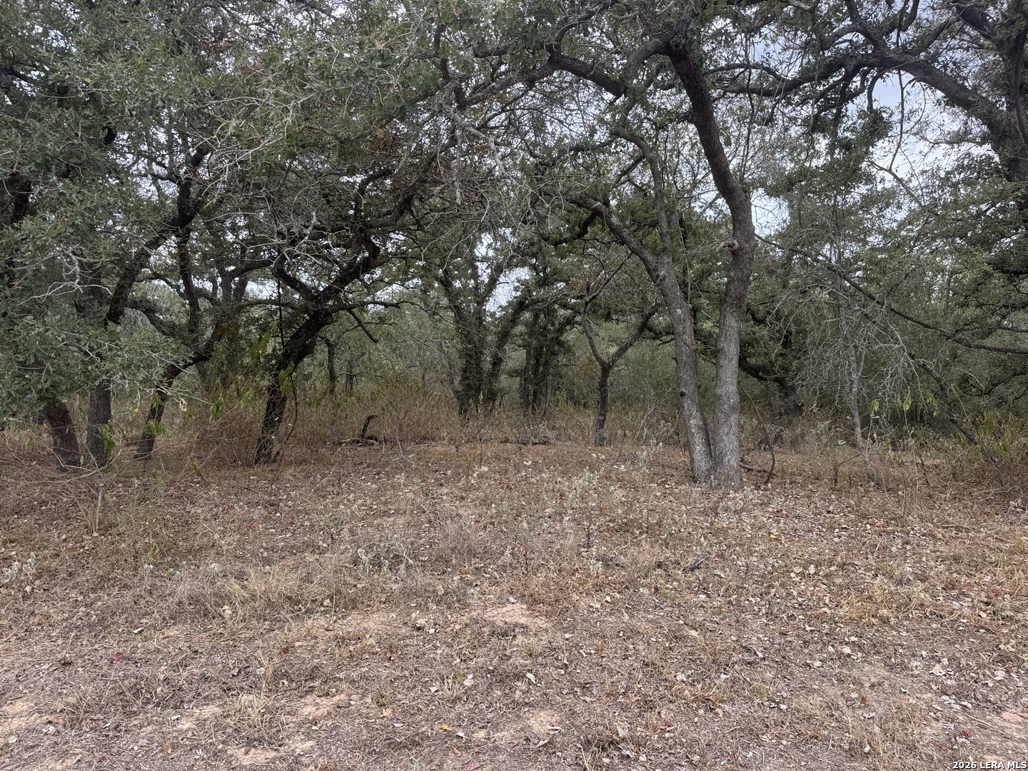 133 White Horse Lane Stockdale TX 78160