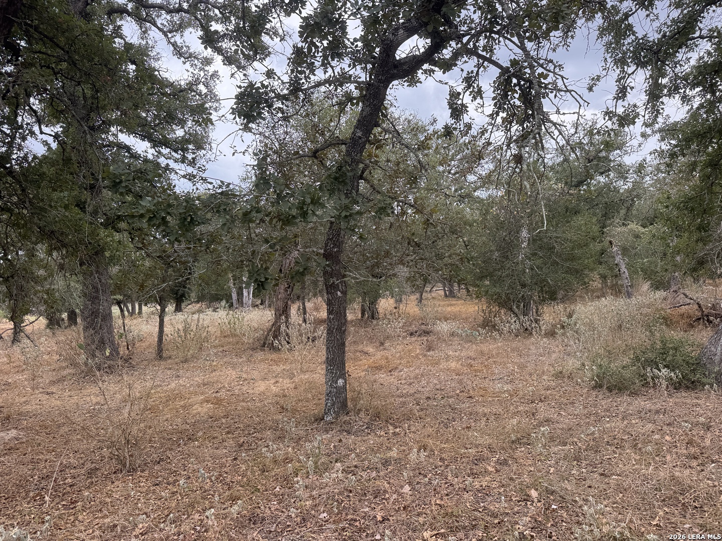 133 White Horse Lane Stockdale TX 78160