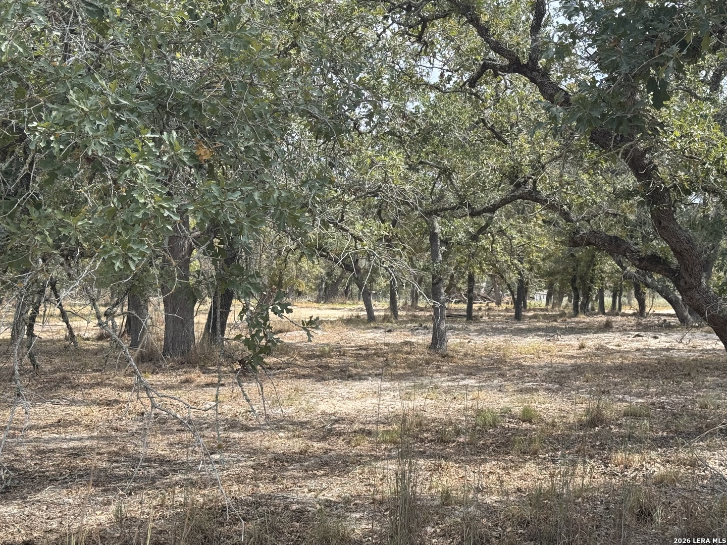 190 Deer Park Road La Vernia TX 78121