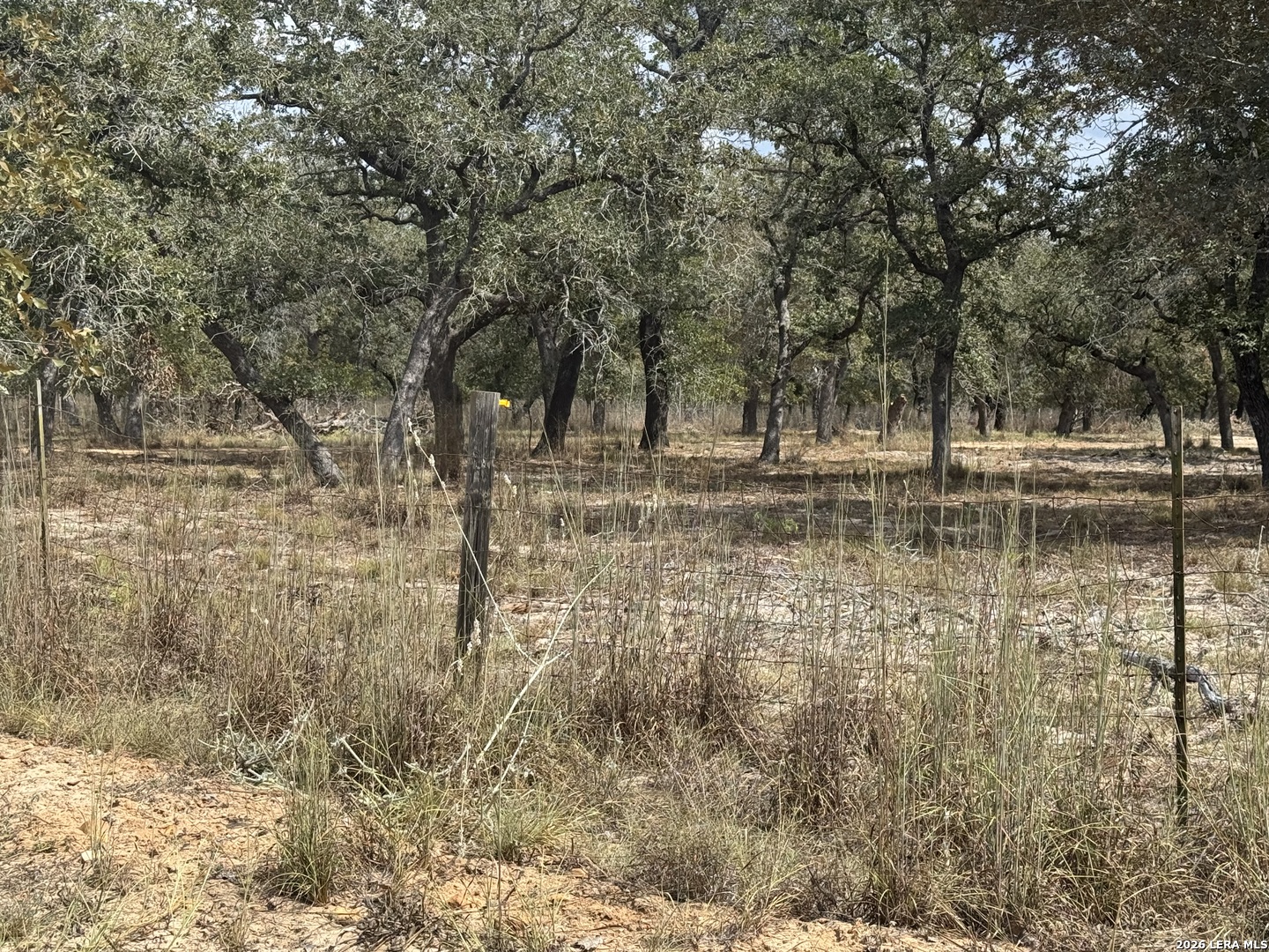190 Deer Park Road La Vernia TX 78121
