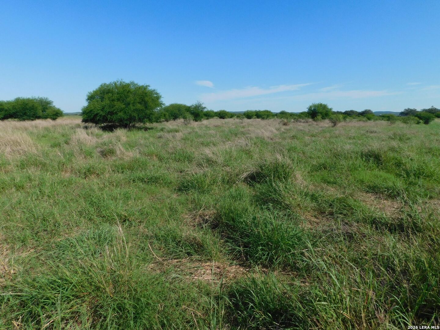 10566 Texas 127 Sabinal TX 78881