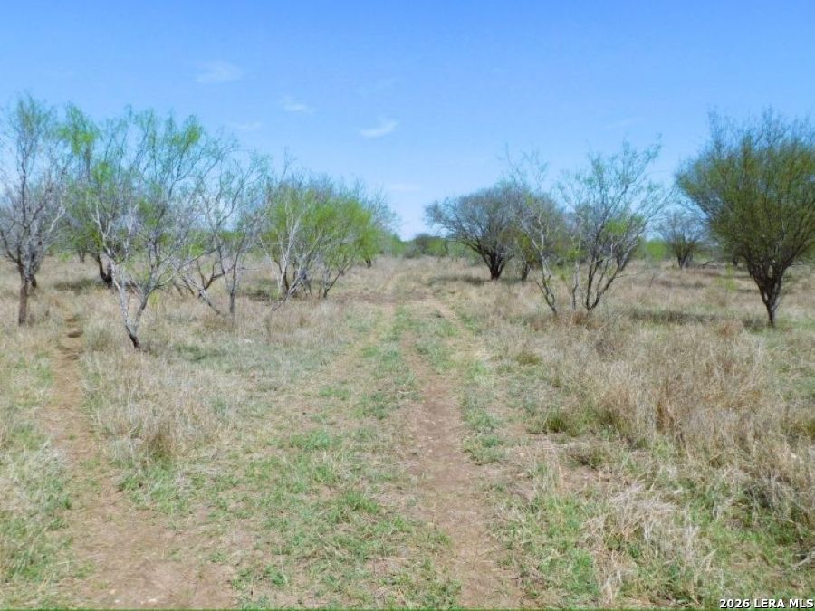 10566 Texas 127 Sabinal TX 78881