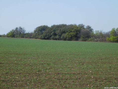 10566 Texas 127 Sabinal TX 78881