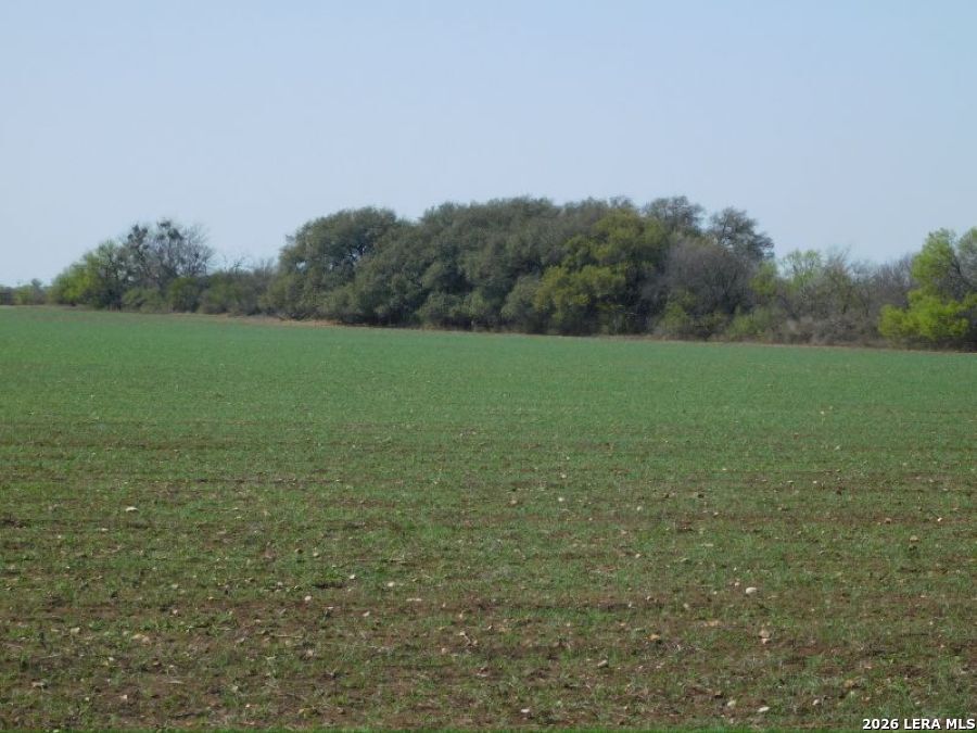 10566 Texas 127 Sabinal TX 78881