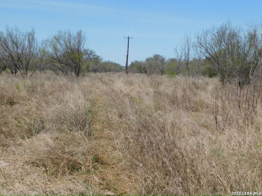10566 Texas 127 Sabinal TX 78881