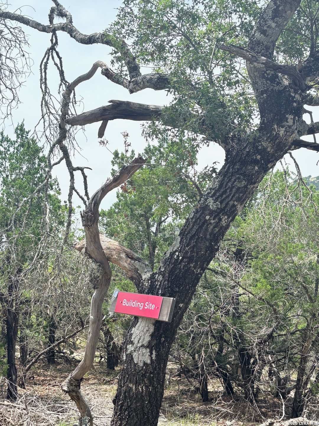 Lot 90 Bear Springs Road Pipe Creek TX 78063