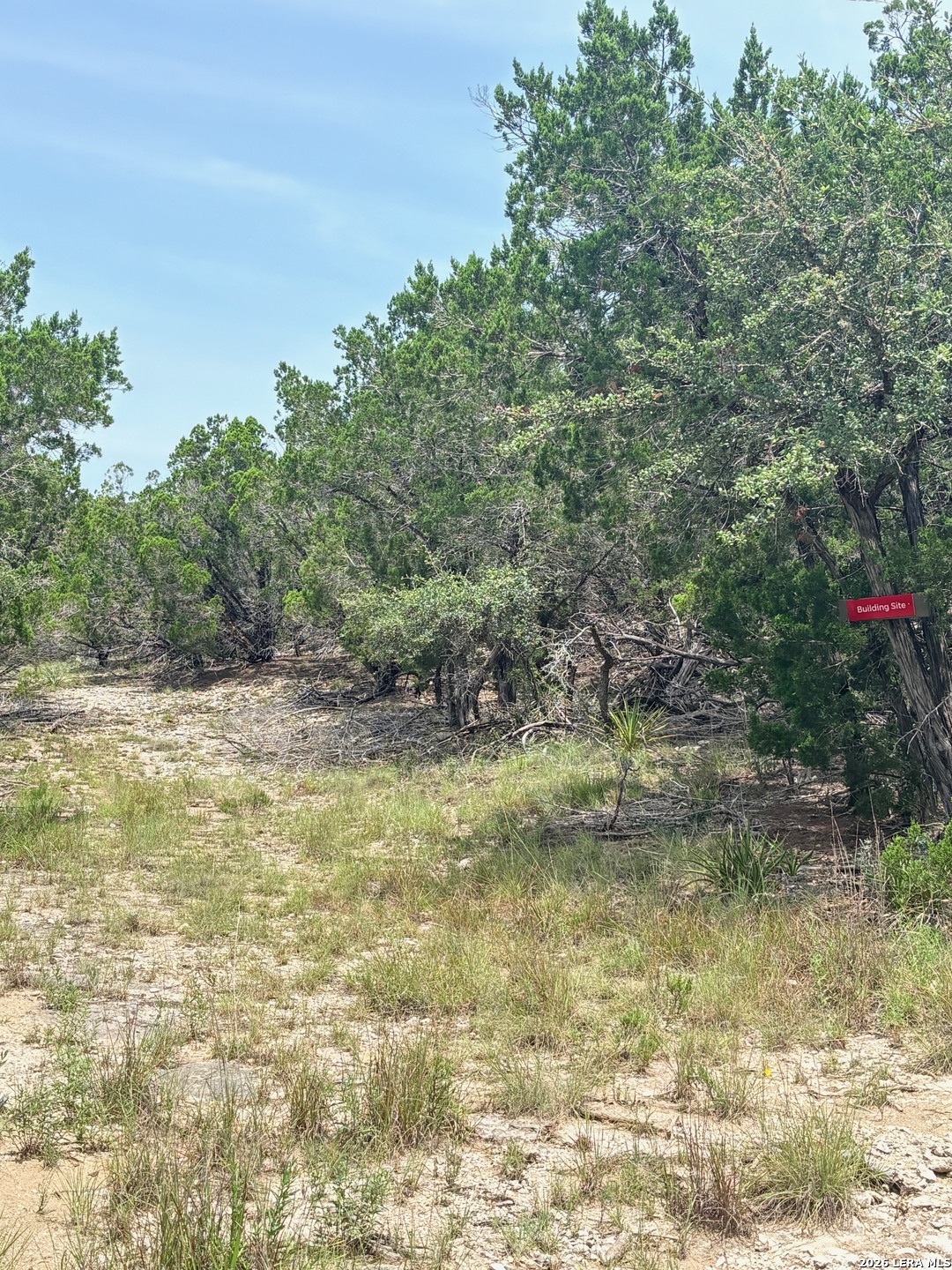Lot 90 Bear Springs Road Pipe Creek TX 78063