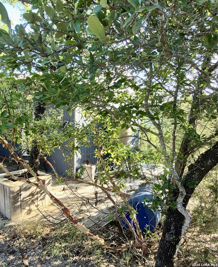 Lot 90 Bear Springs Road Pipe Creek TX 78063
