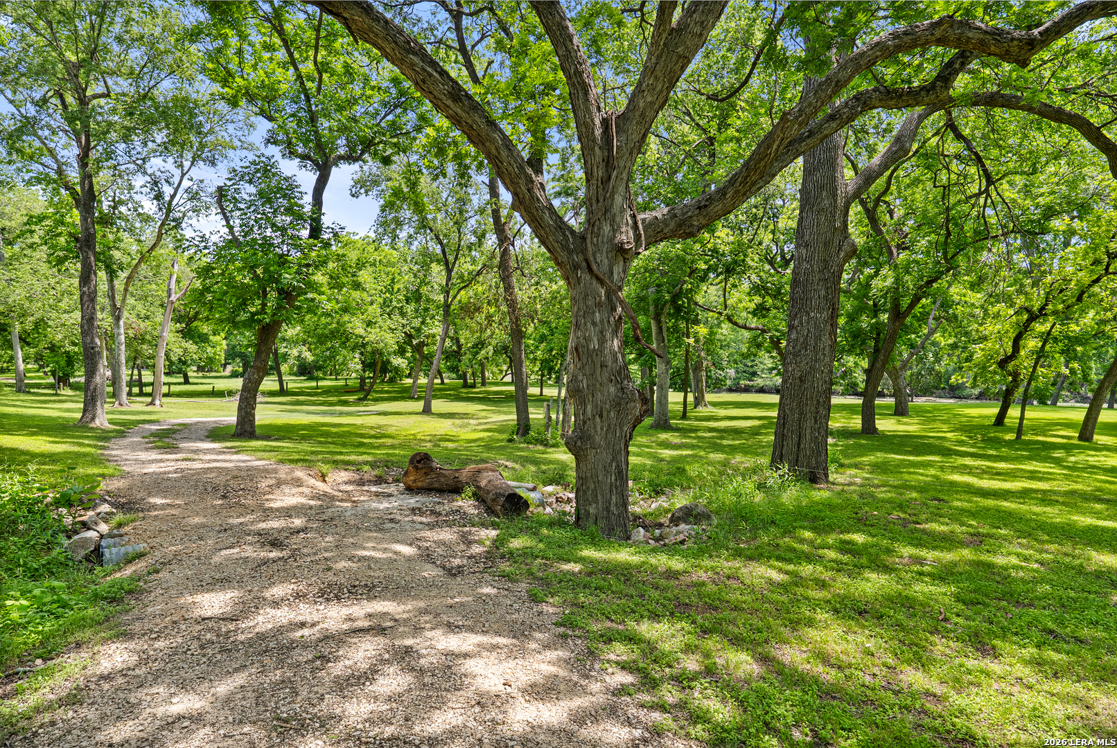 1242 Ervendberg Ave - Lot 2 New Braunfels TX 78130