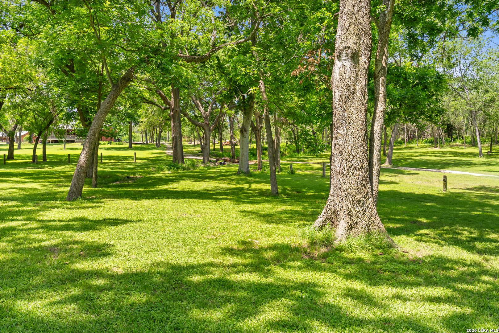 1242 Ervendberg Ave - Lot 2 New Braunfels TX 78130