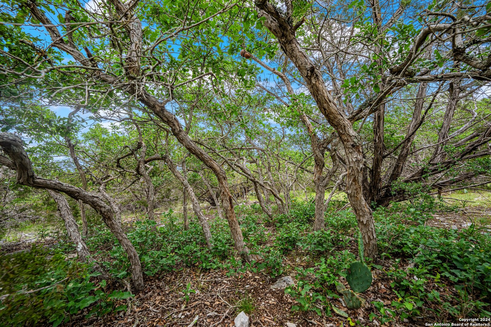 200 Countless Views Drive Kerrville TX 78028