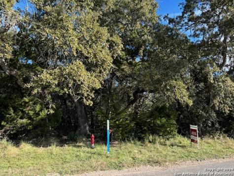 1207 Tanglewood Trail Spring Branch TX 78070