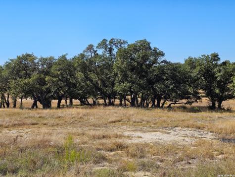 34663 Shelly Bridge Point Bulverde TX 78163
