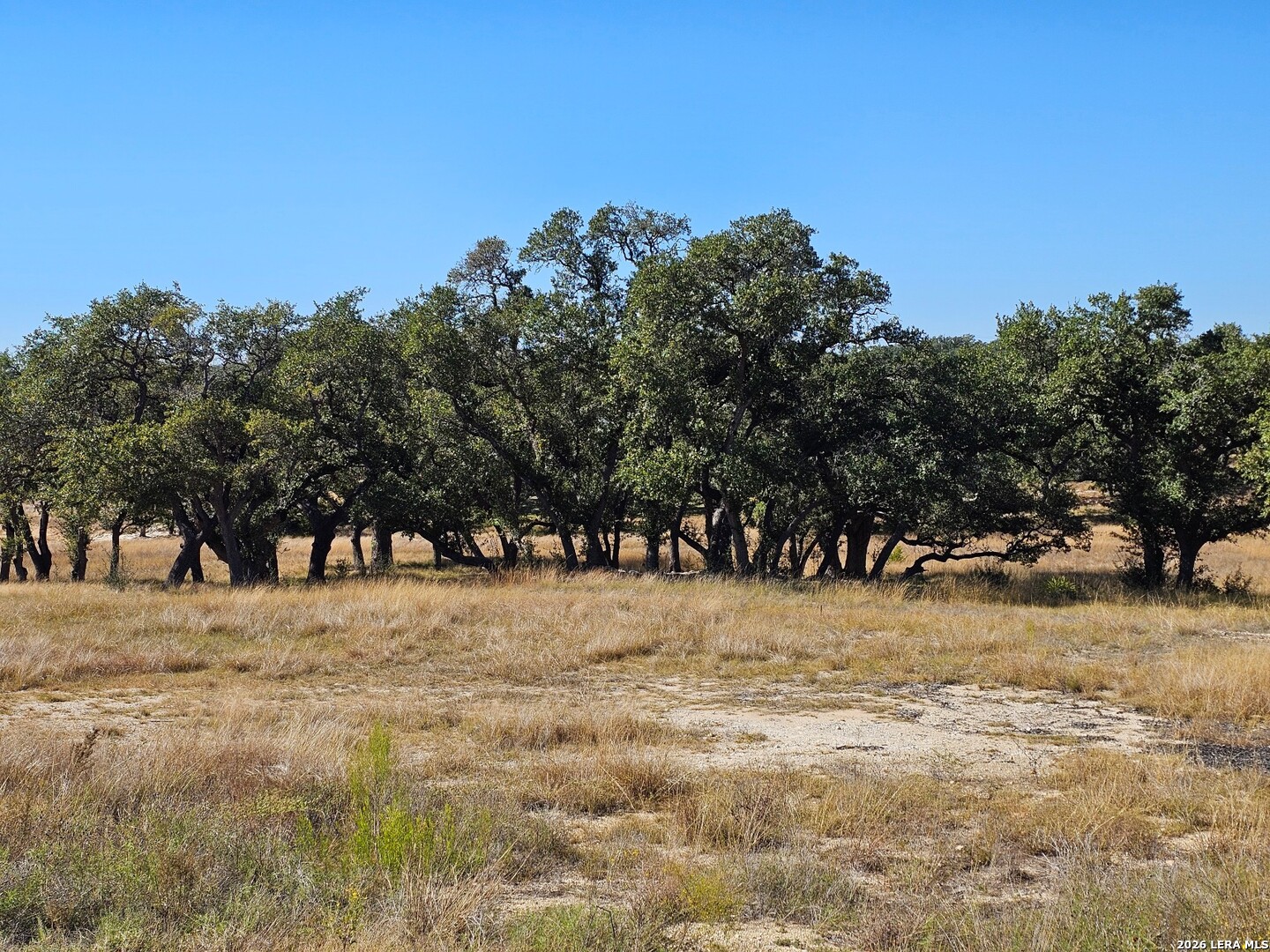 34663 Shelly Bridge Point Bulverde TX 78163
