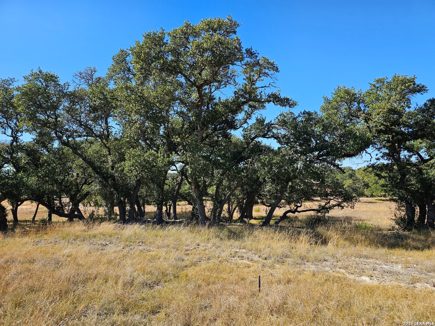 34663 Shelly Bridge Point Bulverde TX 78163