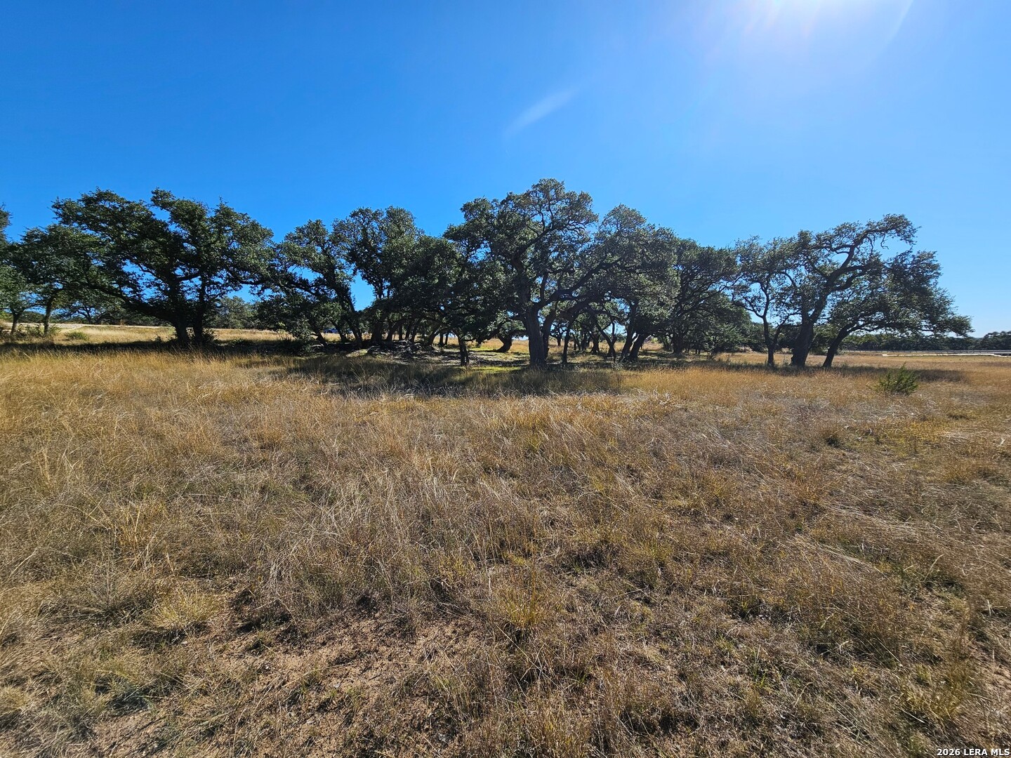 34663 Shelly Bridge Point Bulverde TX 78163