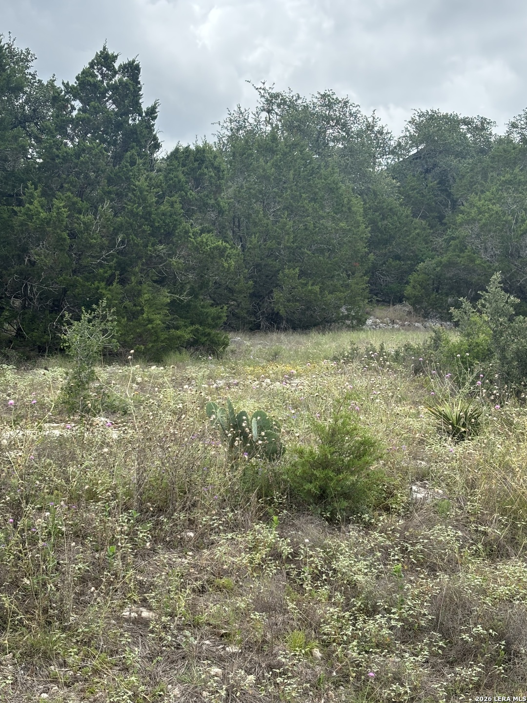 1328 Powder Ridge Road New Braunfels TX 78132