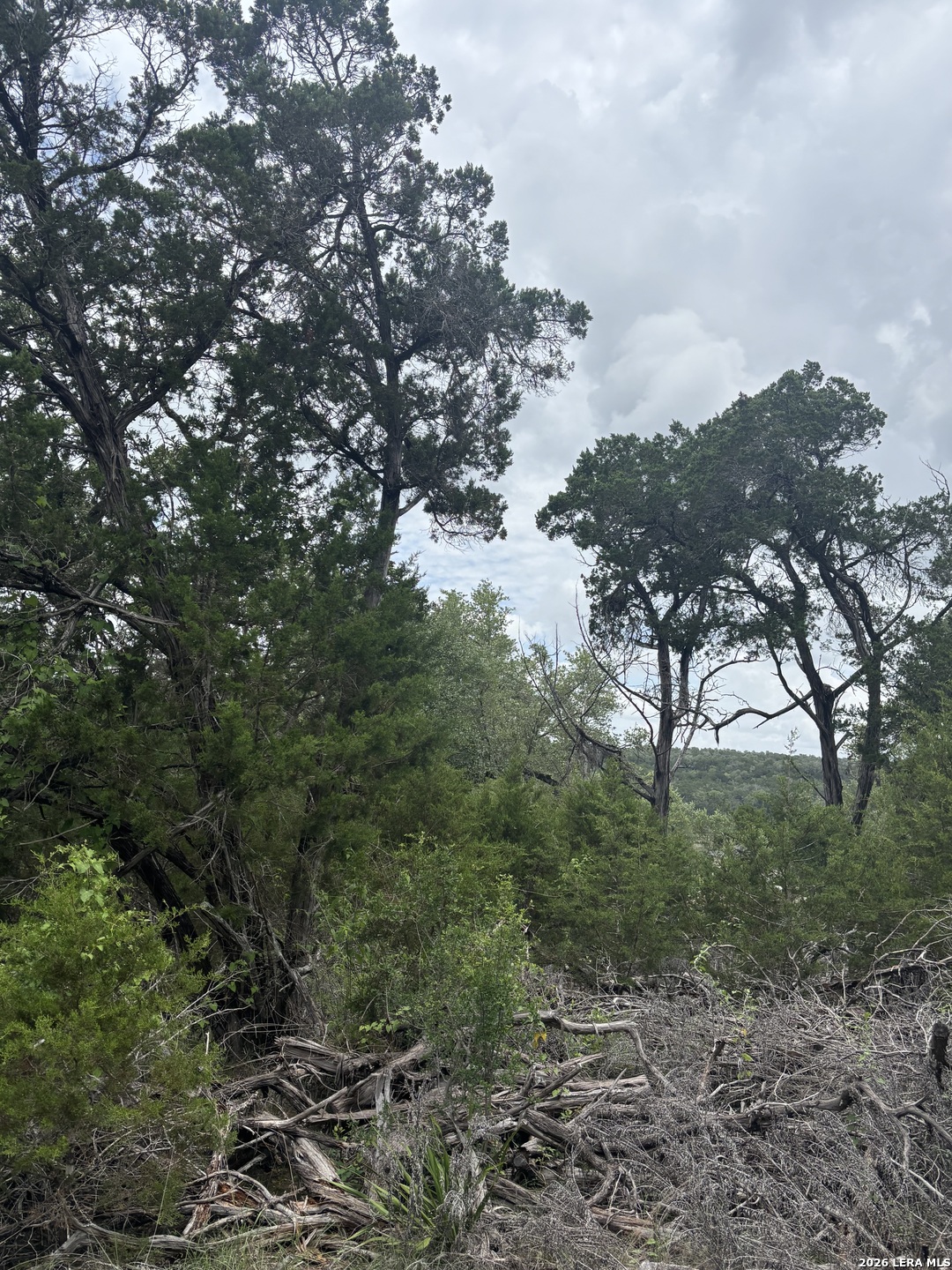 1328 Powder Ridge Road New Braunfels TX 78132