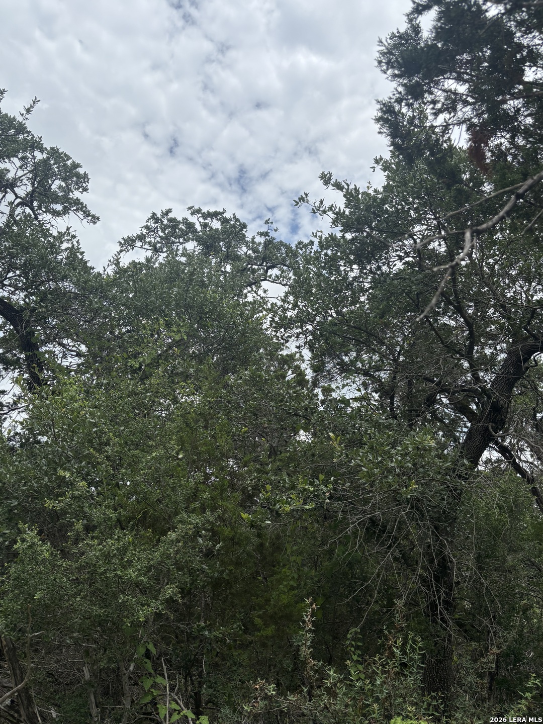 1328 Powder Ridge Road New Braunfels TX 78132